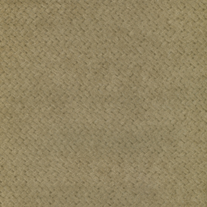 CESTO 01